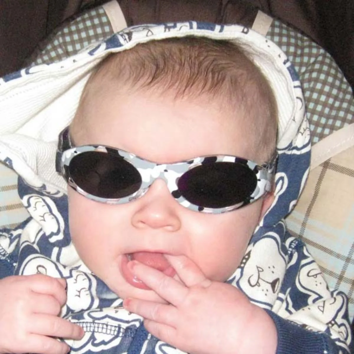 Adventure Banz Sunglasses - Image 6